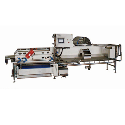 卧式全自动洗菜机